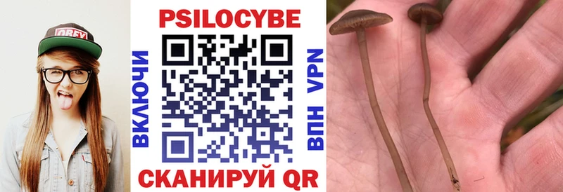 Псилоцибиновые грибы мухоморы  Дмитров 
