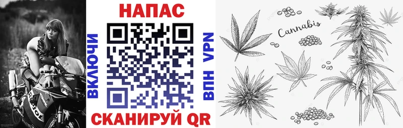 Шишки марихуана сатива  Дмитров 